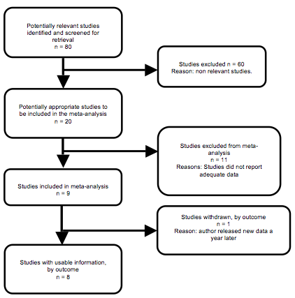 Business plan risks example picture 2